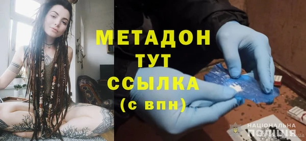 шишки Верея