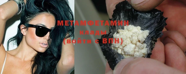 шишки Верея