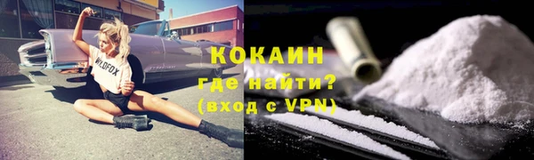 шишки Верея