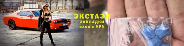 шишки Верея