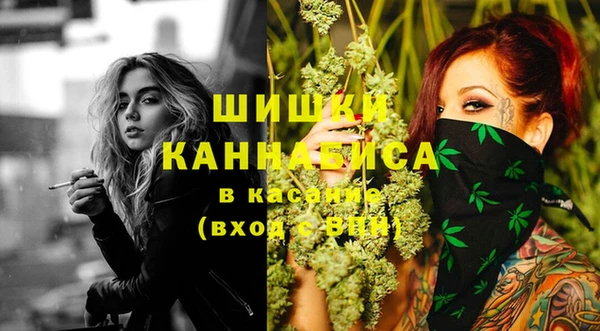 шишки Верея