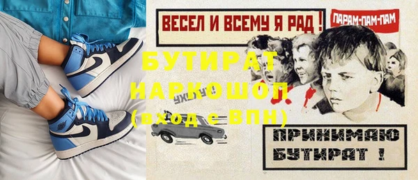 шишки Верея