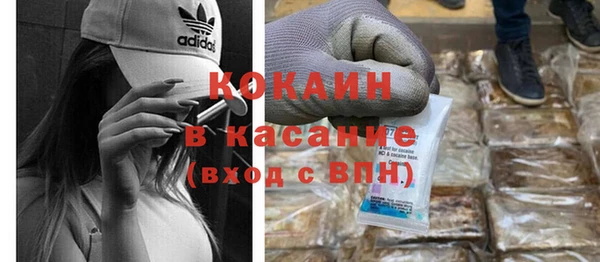 шишки Верея